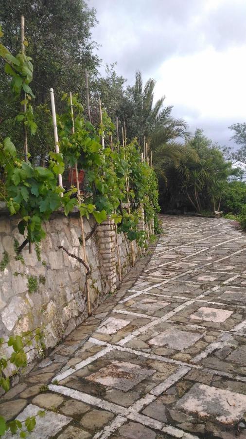 דירות לה ספציה Casa Isabelle Mel מראה חיצוני תמונה